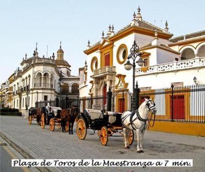Appartement Mit Terrasse, Naehe Kathedrale Von Sevilla